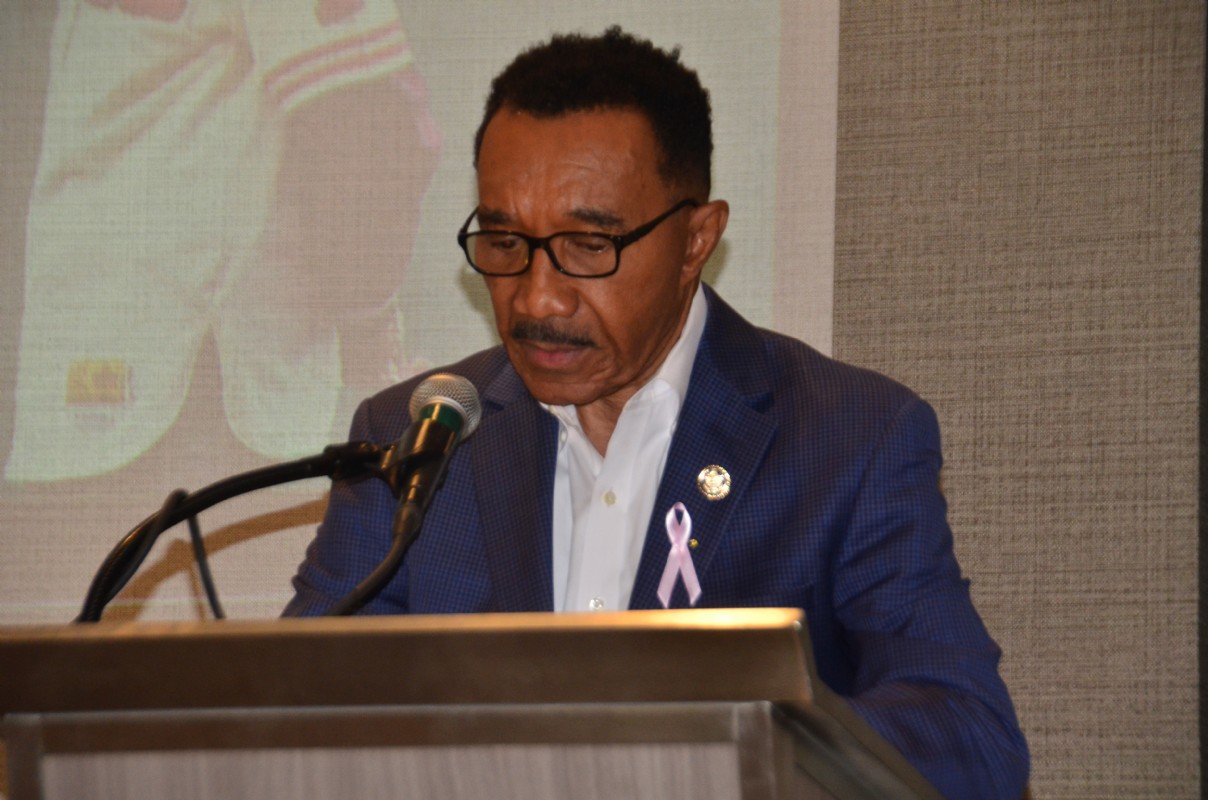 2025_SMNLB_Pillar_Award_ (03)