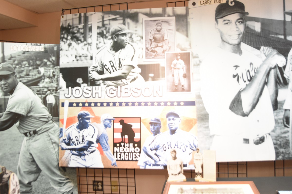 SMNLB_at_Bel_Air_Library_20260228 (09)